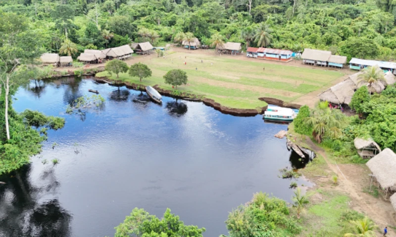 El estudio permitió recopilar conocimientos tradicionales sobre el uso sostenible de plantas, animales y hongos. / Foto: cortesía IIAP