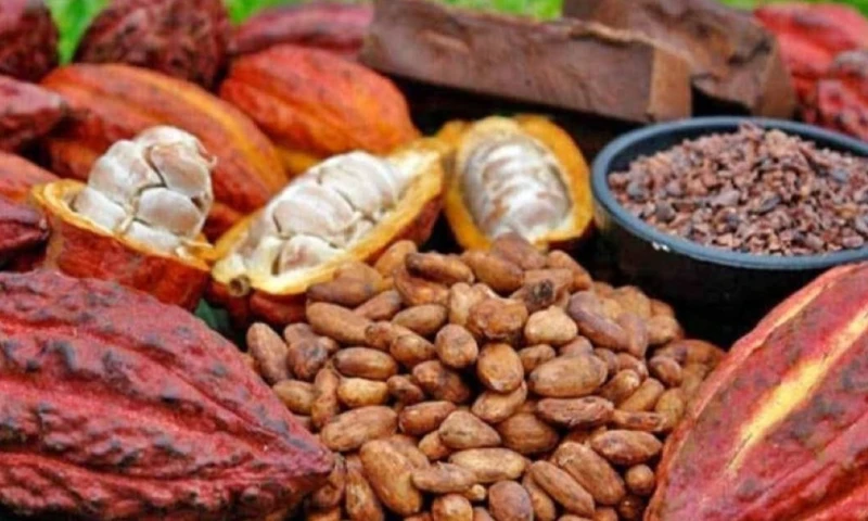 El temor radica en que la imposición de aranceles adicionales podría encarecer aún más los productos de cacao / Foto: cortesía 