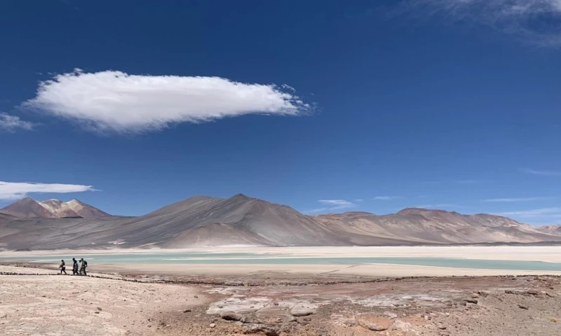 El Salar de Maricunga es el segundo con la mayor concentración de litio en salares del mundo después del Salar de Atacama / Foto: EFE