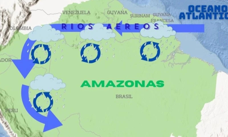 Según el MAAT, si esta tendencia continúa, la región podría enfrentar un “punto de inflexión” / Foto: cortesía MAAP Informe