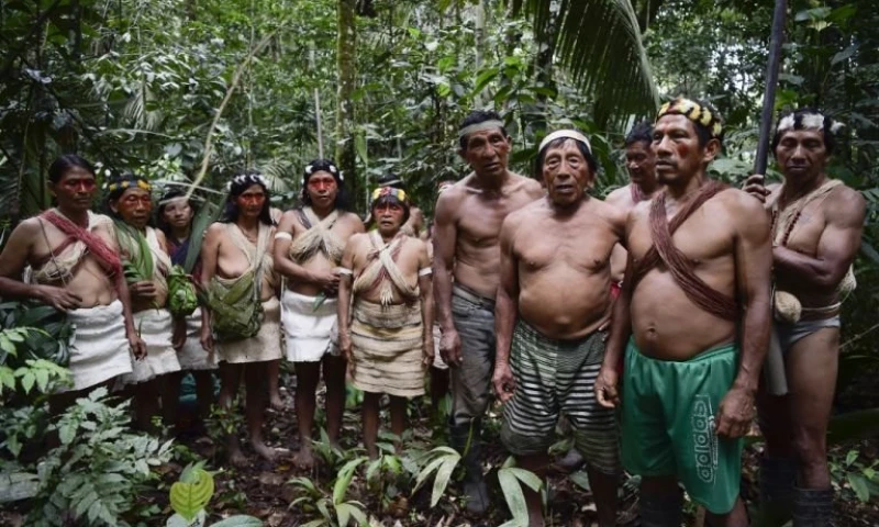  El "primer caso COVID reportado en la comunidad Waorani" se trata de "una mujer gestante, de 17 años. Foto: AFP