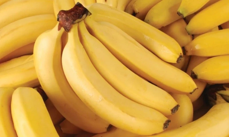 Entre enero y marzo ese país importó 69.000 toneladas de banano por un valor de USD 20,4 millones / Foto: cortesía