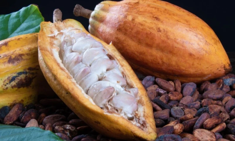 Las grandes empresas chocolateras han recurrido a estrategias como la reducción del contenido de cacao en sus productos / Foto: cortesía