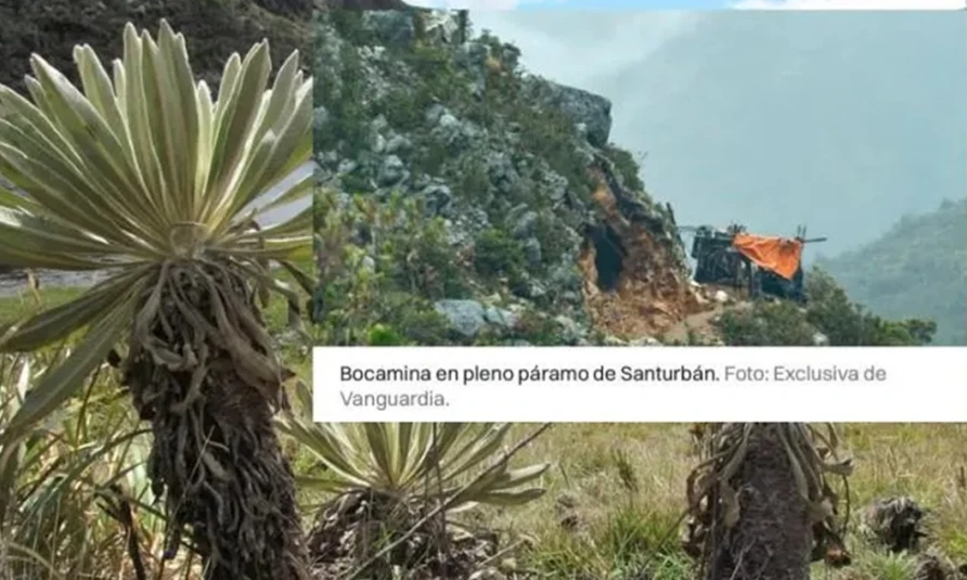 Fotos muestran daños de la minería ilegal en el páramo de Santurbán