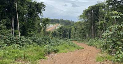 En 2024 se asignaron varios lotes nuevos de minería a pequeña escala / Foto: cortesía Mining Services