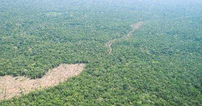 En el parque Chiribiquete se documentaron más de 500 hectáreas deforestadas / Foto: cortesía MAAP