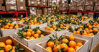 Ecuador se mantiene como proveedor estratégico / Foto: cortesía