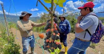 Se espera que estas visitas generen oportunidades reales de comercialización / Foto: cortesía MAG
