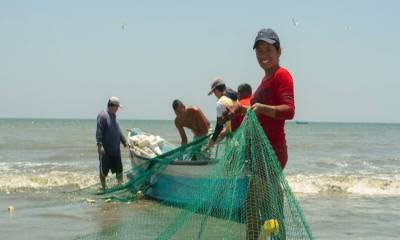 Ecuador recibirá cerca de USD 996.590 para promover prácticas pesqueras sostenibles / Foto: cortesía MAGP
