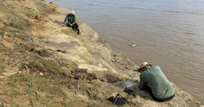El paleontólogo Rodolfo Salas-Gismondi se adentró en las profundidades de la Amazonía ecuatoriana para recolectar y estudiar rocas y fósiles de las riberas / Foto: EFE