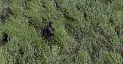 Un bombardeo en la selva colombiana del Guaviare mató a 19 guerrilleros, entre ellos siete menores reclutados / Foto: cortesía El País