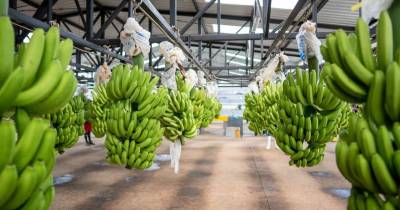 Principales noticias de Ecuador hoy - 20 de Junio de 2025 / Foto: cortesía Forbes Ec