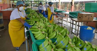 La deuda con el SRI era de alrededor de 95 millones de dólares / Foto: cortesía 