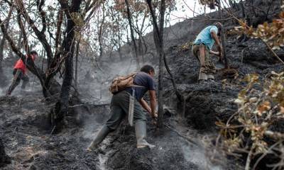 Más del 90 % de los incendios forestales que se desataron en el país ya han sido extinguidos / Foto: EFE