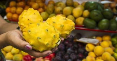 La pitahaya es cultivada en Morona Santiago, Pastaza y Napo... / Foto: EFE