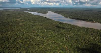 La comisaria aseguró que el Ejecutivo sigue comprometido contra la deforestación / Foto: EFE 