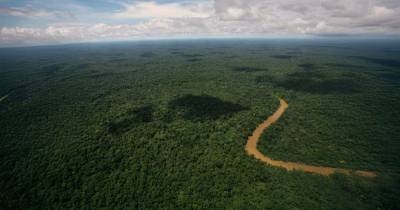 El Programa Biocorredor Amazónico busca preservar ecosistemas terrestres y de agua dulce / Foto: cortesía MAE