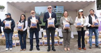 Esta variedad presenta un rendimiento potencial de 7 a 8 toneladas por hectárea / Foto: cortesía Ministerio de Agricultura