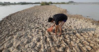 El estudio explora cómo los cambios en las condiciones oceánicas y atmosféricas provocados por El Niño y La Niña alteran los ecosistemas marinos / Foto: EFE