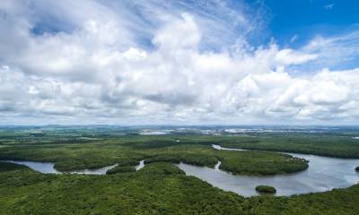 Foto: Shutterstock