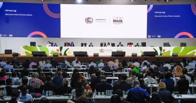 El pleno de la COP30 también aprobó un documento con una lista definitiva de "indicadores" para medir los avances en las acciones de adaptación ante el cambio climático./ Foto: cortesía EFE