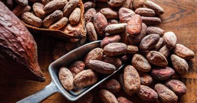 Firmas como Hershey han alertado que los costos elevados del cacao podrían trasladarse al consumidor final / Foto: cortesía