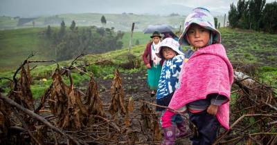 Ecuador ha trabajado en los últimos años con mayor fuerza en el combate a la desnutrición crónica infantil / Foto: cortesía Unicef