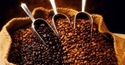 El café es la segunda bebida más consumida del mundo, solo superada por el agua / Foto: cortesía Ministerio de Producción