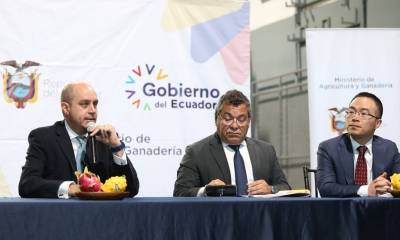 China se sumó así a los 58 países a los que llega la pitahaya ecuatoriana, pues Estados Unidos es el principal mercado de destino con el 84 % del volumen total exportado / Foto: cortesía Ministerio de Producción