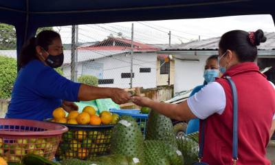 Se llevará a cabo el 8 de septiembre, desde las 8:00, en las instalaciones de la Dirección Distrital del MAG/ Foto: cortesía MAG