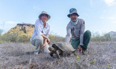 Las tortugas fueron criadas en el Centro de Reproducción “Fausto Llerena” / Foto: cortesía MAE