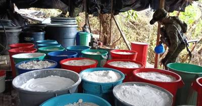 En 2014 la producción estimada de cocaína se situaba aún en 869 toneladas / Foto: cortesía FF. AA.