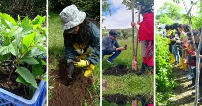 600 personas, entre técnicos, ‘Jóvenes en Acción’ y voluntarios, participaron / Foto: cortesía MAATE