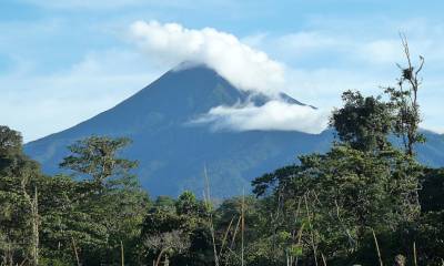 El volcán Sumaco, un universo de vida invisible aún por descifrar en Ecuador / Foto: EFE