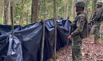 Estos hallazgos son cada vez más frecuentes en la provincia/ Foto: Cortesía FFAA