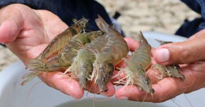 Principales noticias de Ecuador hoy - 26 de noviembre de 2025 / Foto: cortesía Ministerio de Producción