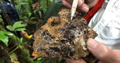 Aurania tiene 42 concesiones en la Cordillera del Cutucú, en Morona Santiago / Foto: cortesía Aurania