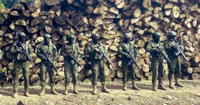 La operación militar se realizó en el sector de Tipishca, provincia de Sucumbíos / Foto: cortesía Ejército ecuatoriano