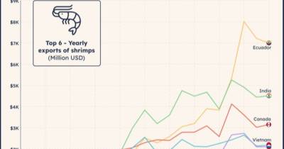 El reporte muestra que Ecuador encabeza actualmente el ranking global con ventas que rondan los $ 9.000 millones anuales / Foto: cortesía