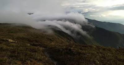 El Parque Nacional Podocarpus recibe entre 7.000 y 8.000 turistas al año / Foto: EFE