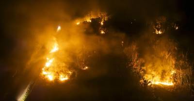 La Amazonía brasileña registró el año pasado la mayor área quemada desde 1985, más de 156.000 kilómetros cuadrados / Foto: EFE