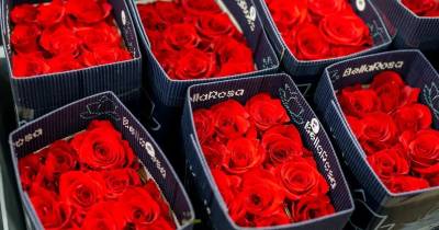 El color rojo sigue siendo el favorito, con una proyección del 80% del total de ventas / Foto: cortesía