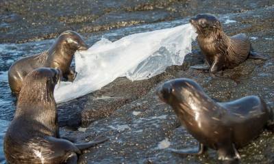 Durante la sesión se logró regular los productos plásticos problemáticos y evitables / Foto: cortasía WWF