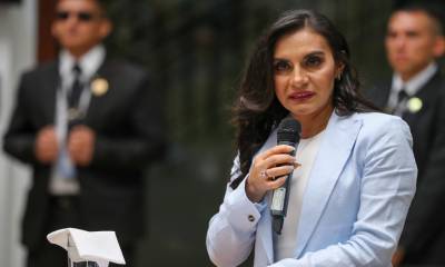 La Vicepresidenta solo recibirá seguridad y protección cuando se encuentre prestando funciones en el país / Foto: EFE
