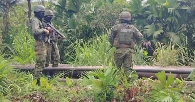 6 grupos terroristas están involucrados en este delito./ Foto: cortesía Ejército