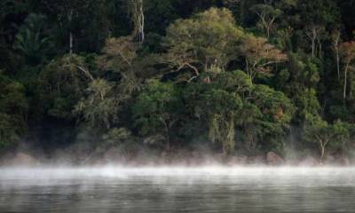 ALERTA. Según el informe, existe una conexión directa entre la expansión de las vías y la eliminación de la vegetación nativa. Foto: La Hora