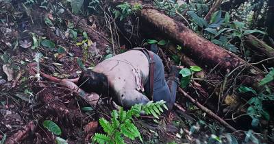 El hallazgo se produjo durante una operación militar que se realizaba en el sector de Alto Punino / Foto: cortesía Ejército