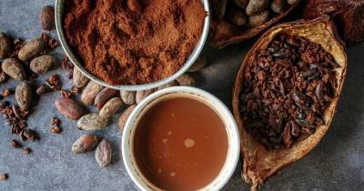 Las asociaciones de la industria registraron descensos en la molienda de cacao en Europa y Asia / Foto: cortesía Anáhuac México