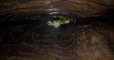 La cueva alberga además especies endémicas poco estudiadas, tanto microscópicas como animales / Foto: El Oriente