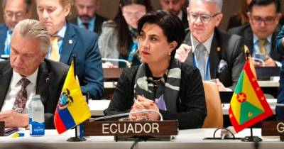Sommerfeld intervendrá en representación del Ecuador ante la Asamblea General de la ONU / Foto: cortesía Cancillería